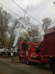 Storm Damage