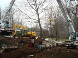 Re-locating a 45,000 lb tree