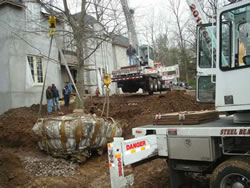 Re-locating a 45,000 lb tree