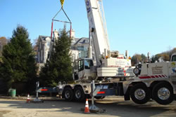 20,000 lb Tree Planting's